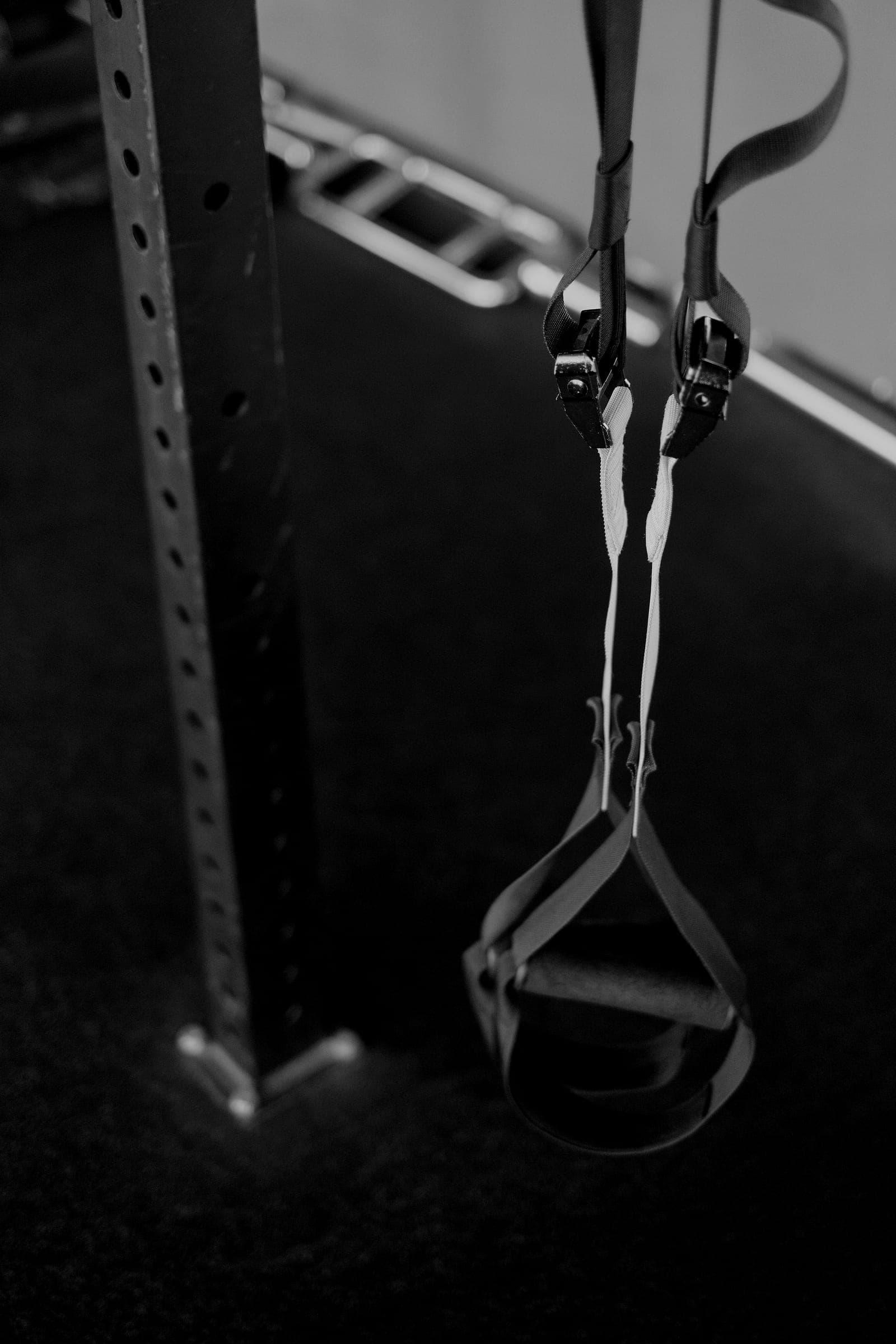 Suspension training straps hang from a rig.