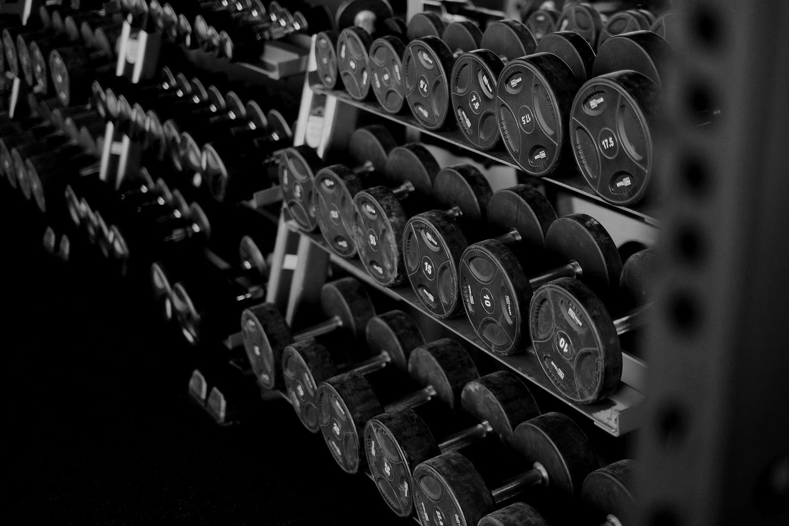 Rows of dumbbells on their racks.